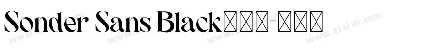 Sonder Sans Black免费下字体转换